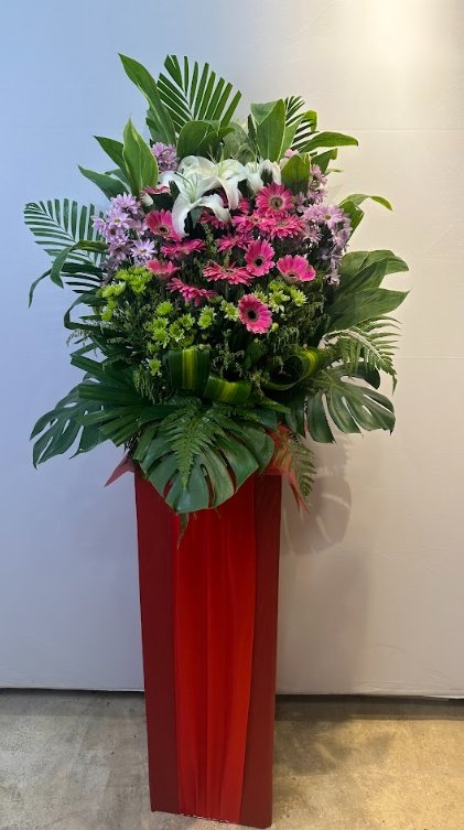 Splendid Pink & White Opening Stand