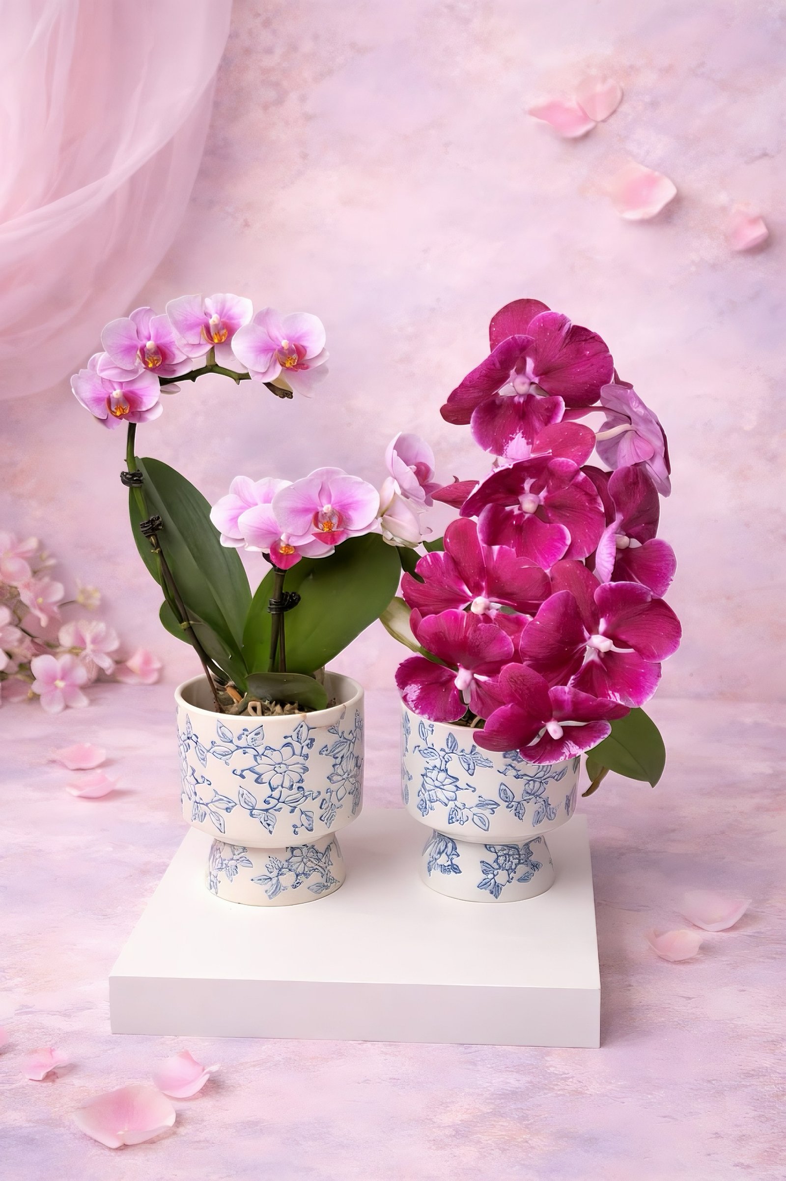 Vase Arrangements