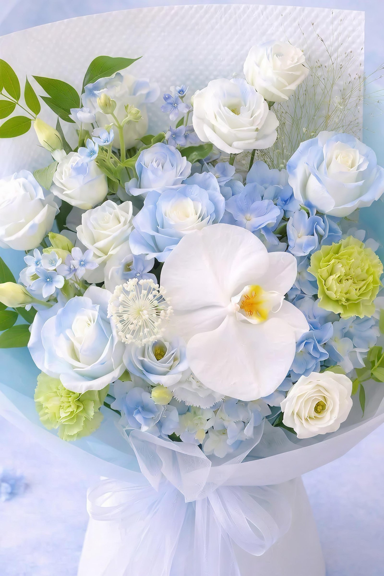 Bluebell Frost - View 2
